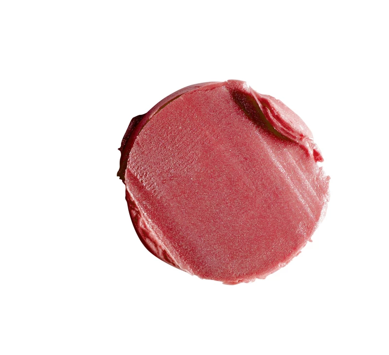 High Performance Lipstick | 459 - flush mahogany