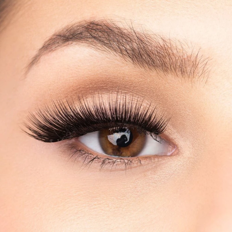 3D Lashes