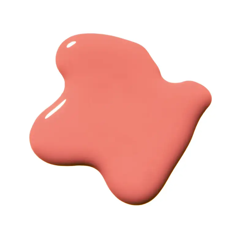 Quick Dry Nail Lacquer | 15 - coral charm