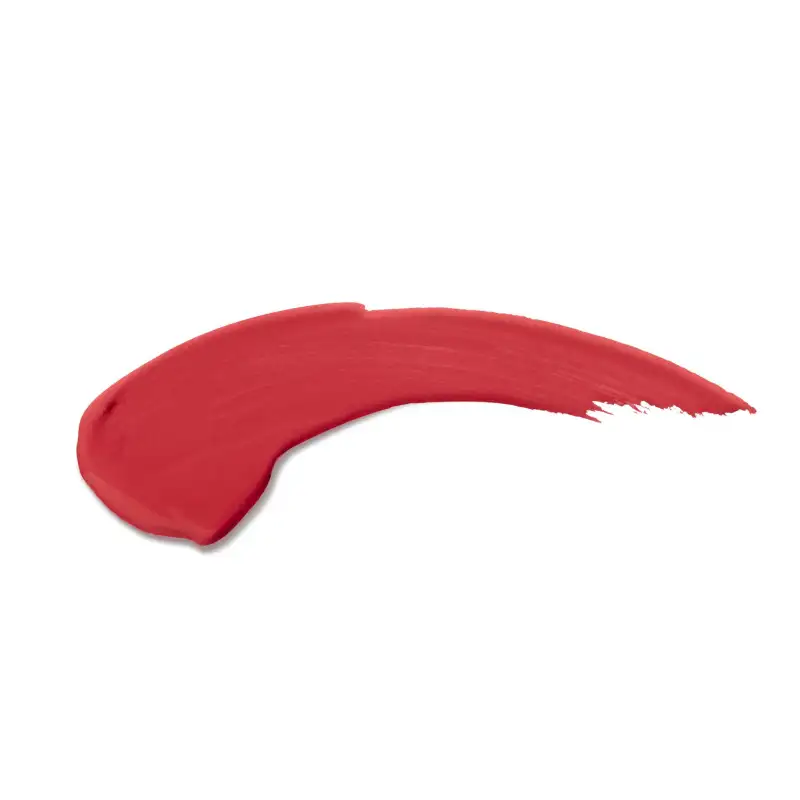 Mat Passion Lip Fluid | 42 - boho red