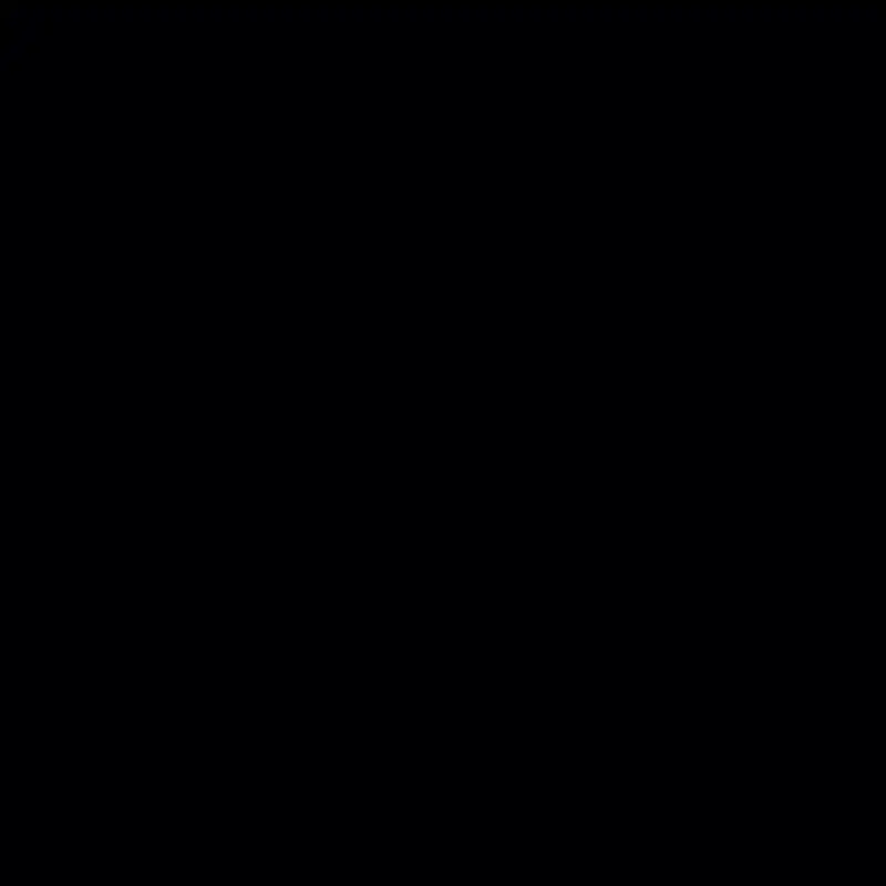 Farbpunkt von 1P5 - black